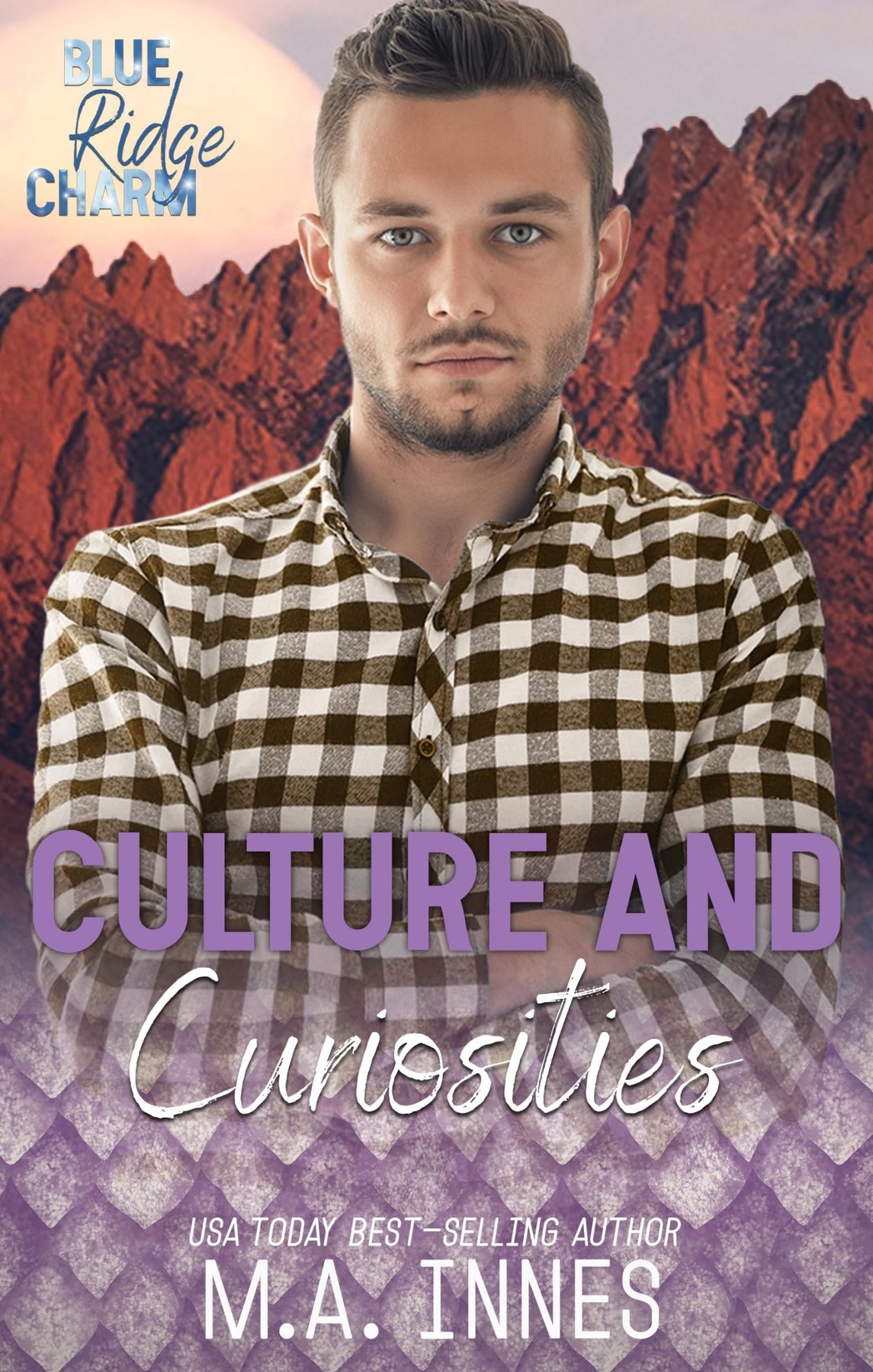 Cover of Culture and Curiosities (2025)