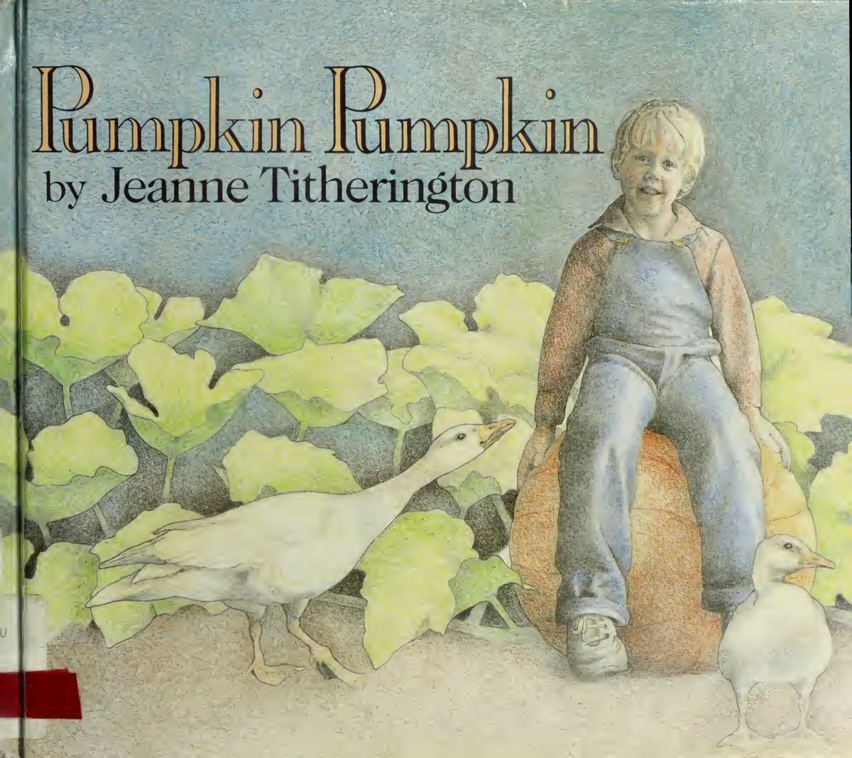 Cover of Pumpkin, pumpkin