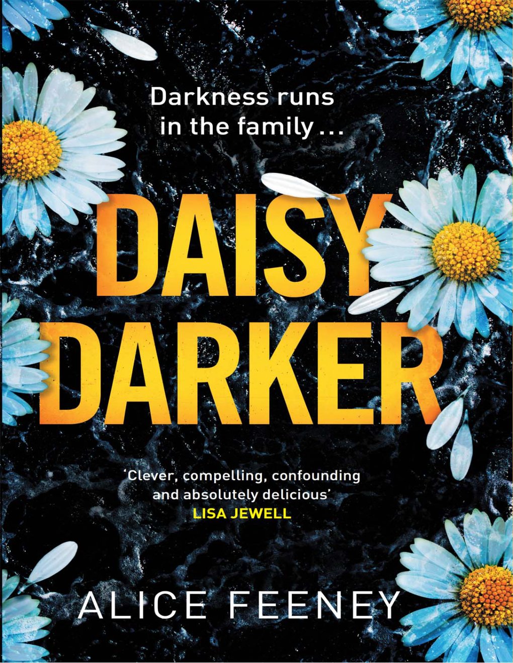 Cover of Daisy Darker