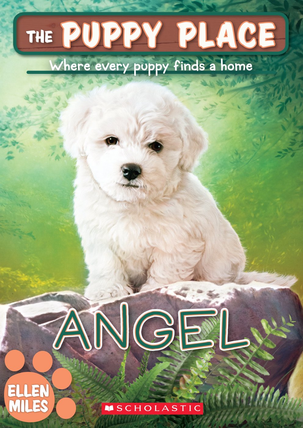 Cover of Angel (1920)