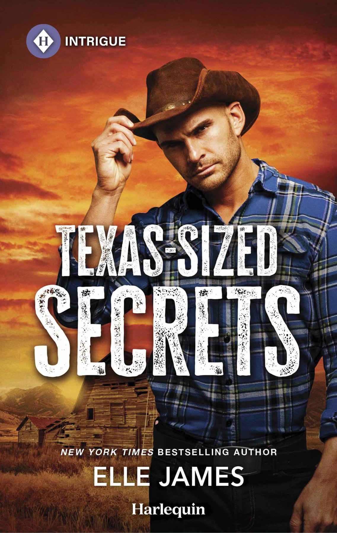 Cover of Texas-Sized Secrets