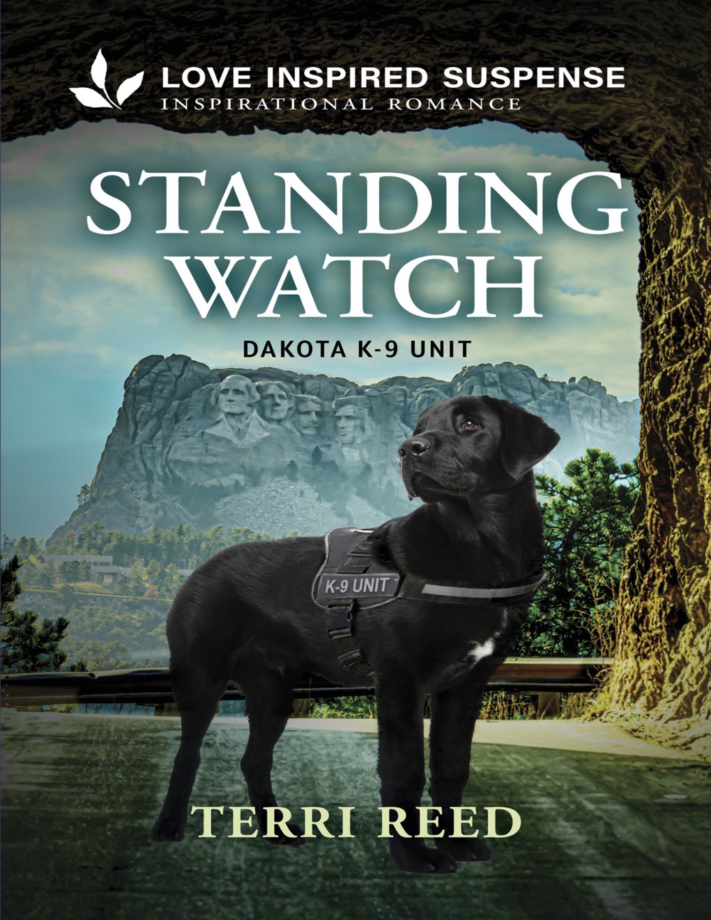 Cover of Standing Watch