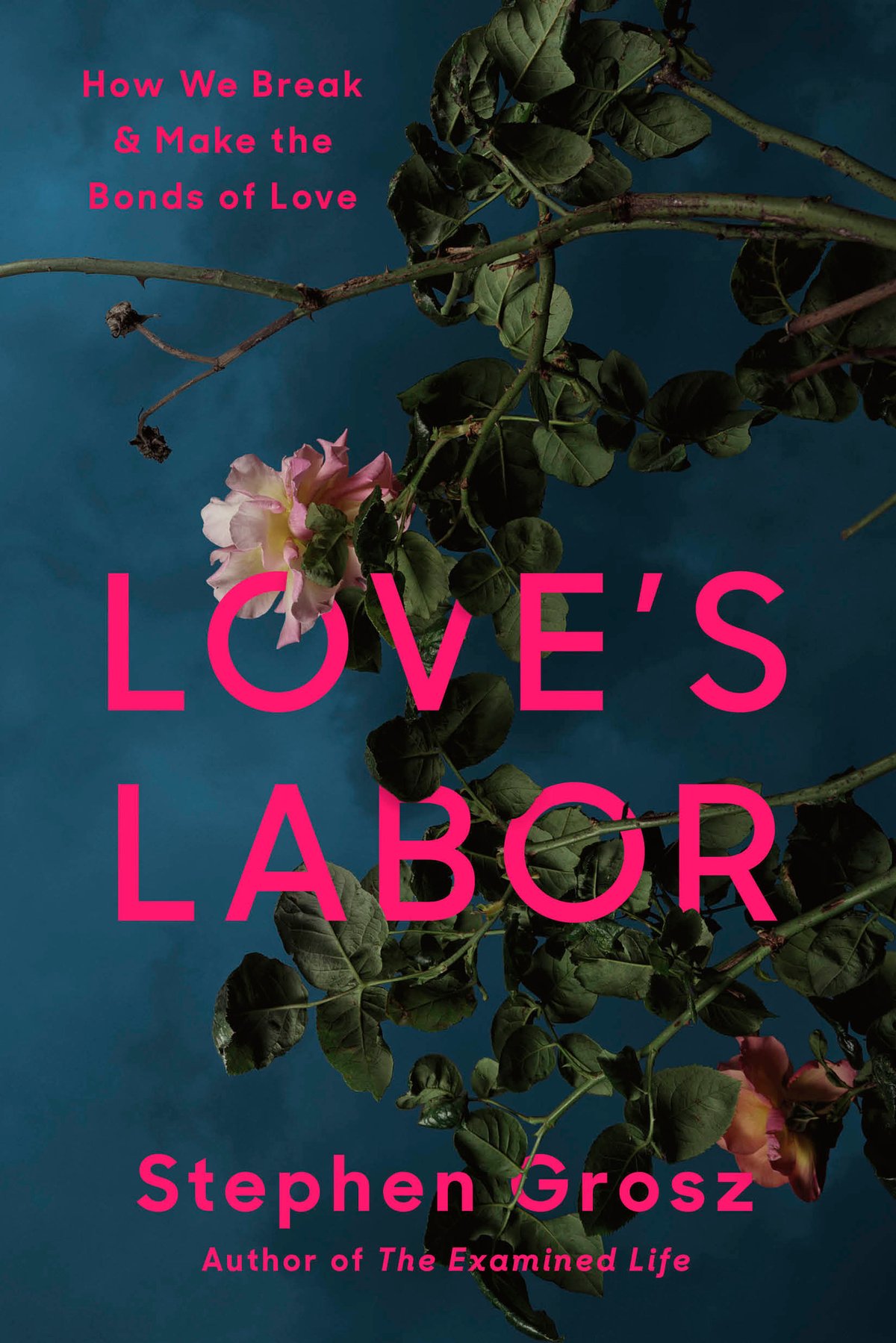 Cover of Love's Labor