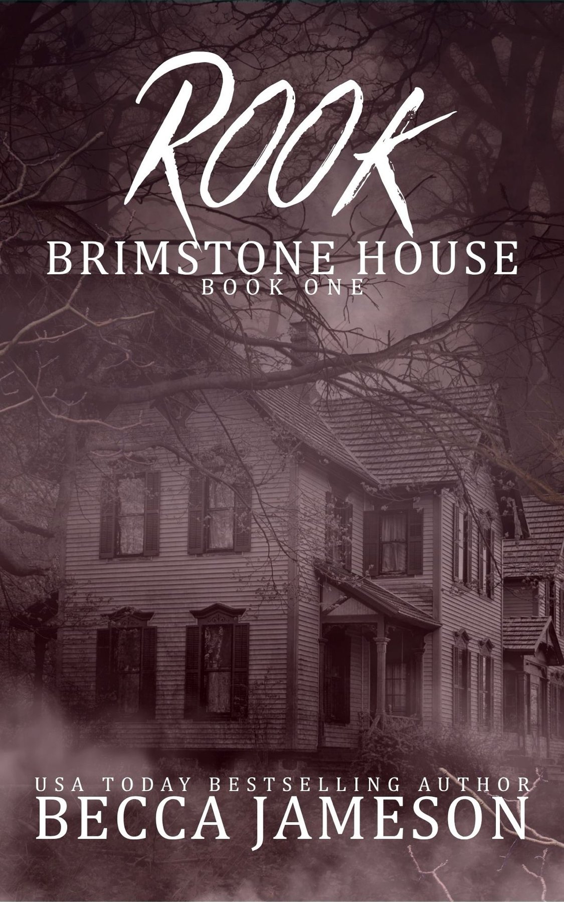 Cover of Rook