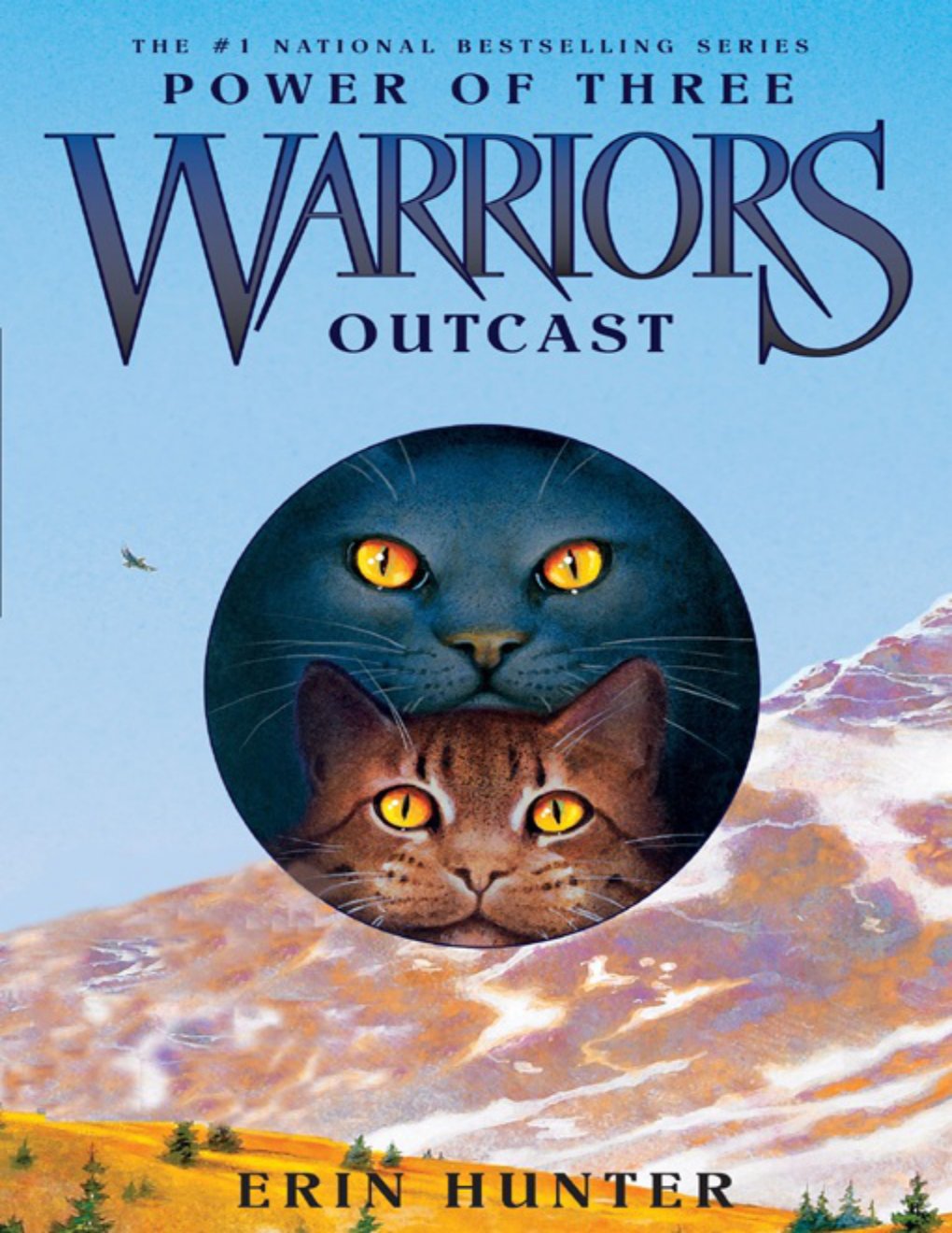 Cover of Outcast