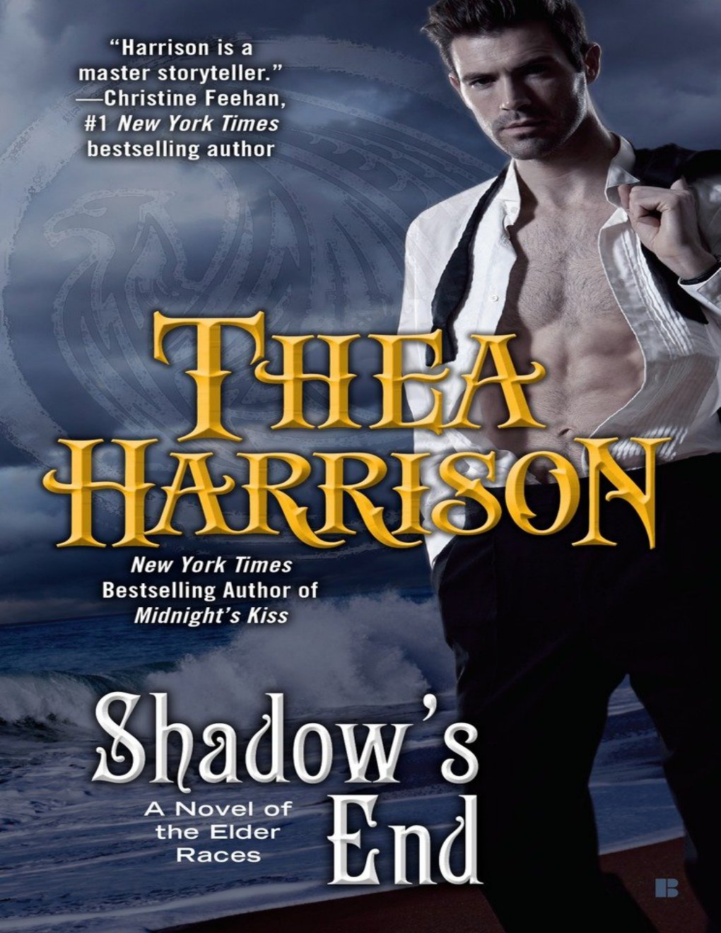 Cover of Shadow's End