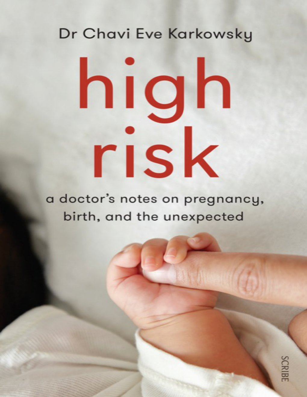 Cover of High Risk