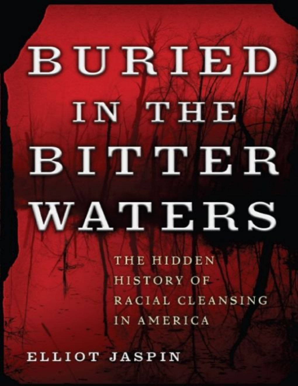 Cover of Buried in the Bitter Waters
