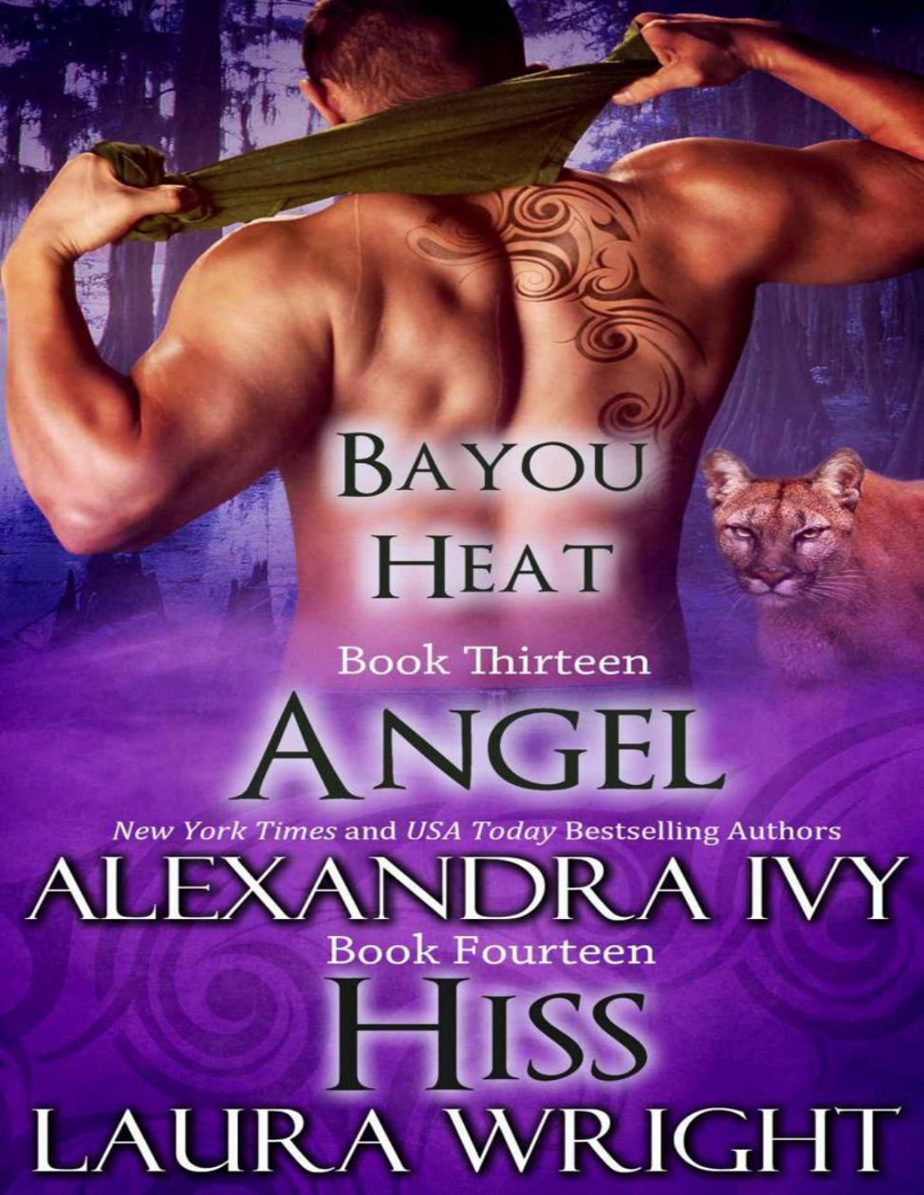 Cover of Angel/Hiss (Bayou Heat Box Set Book 7)