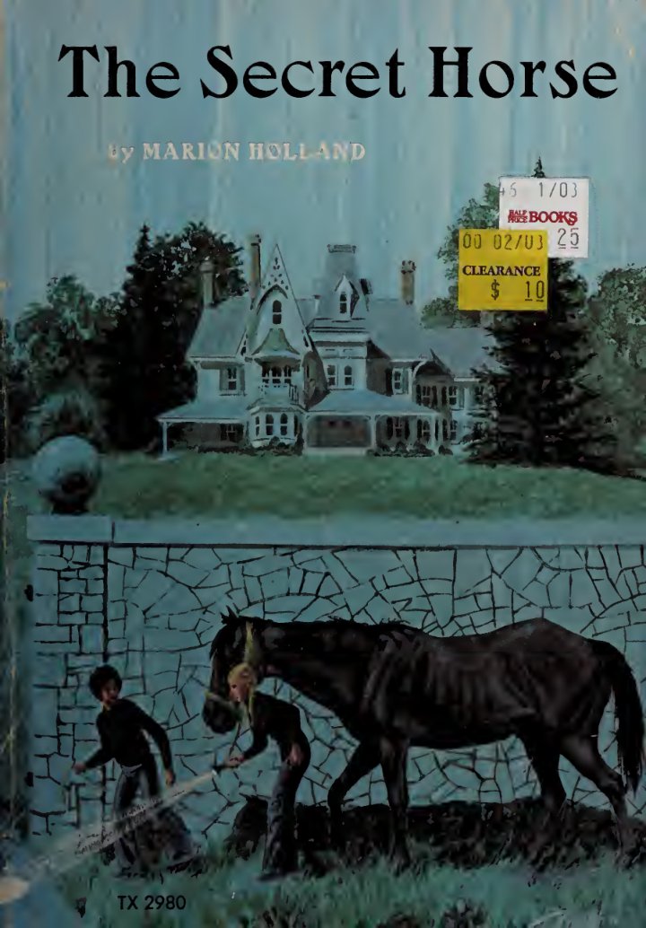 Cover of The secret horse