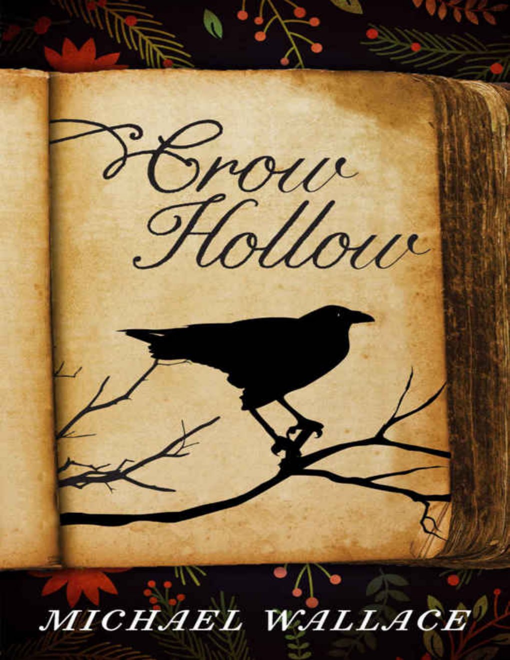Cover of Crow Hollow