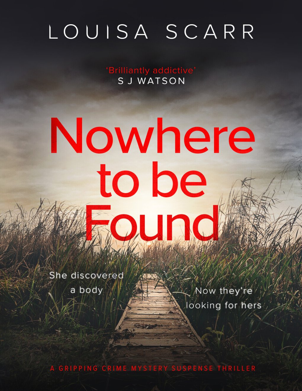 Cover of Nowhere to Be Found