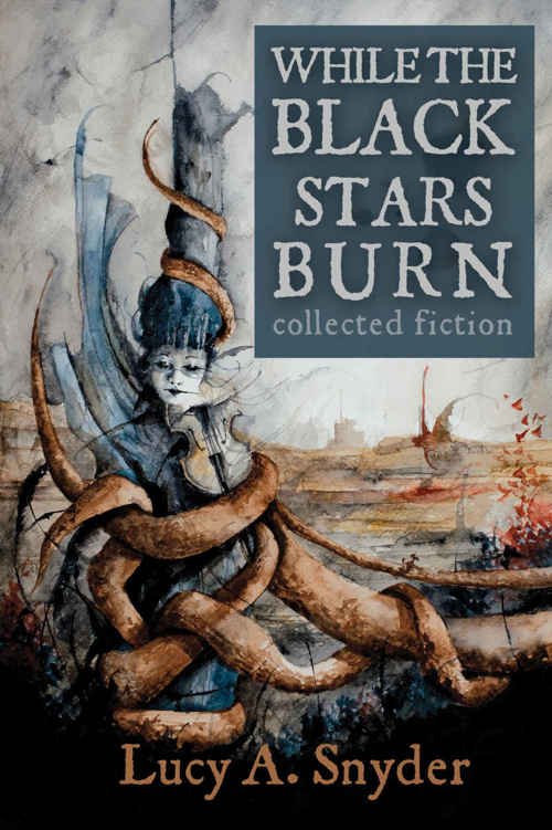 Cover of While the Black Stars Burn (2015)