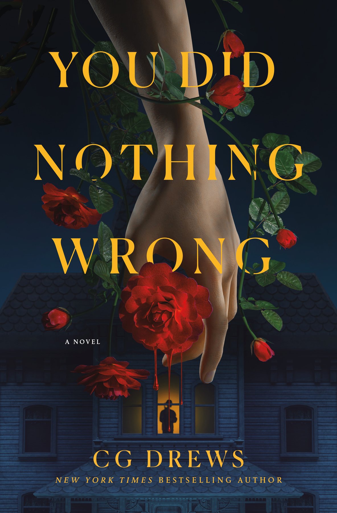 Cover of You Did Nothing Wrong