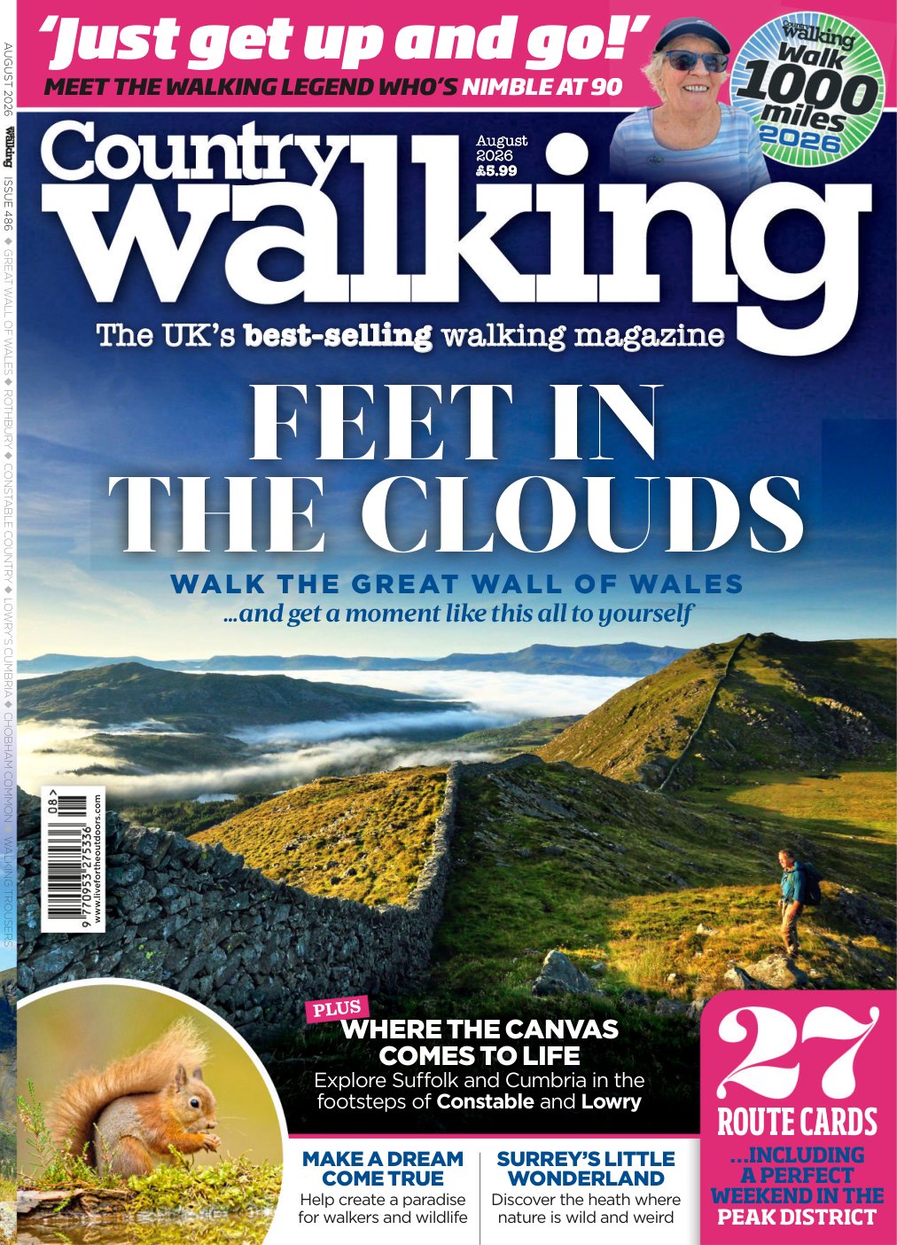 Cover of FEET IN