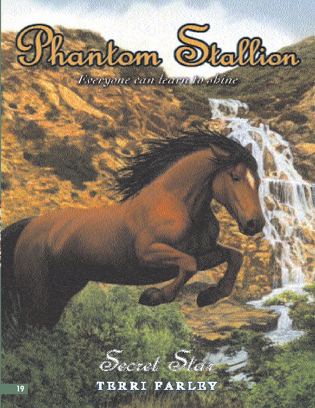 Cover of Secret Star (2006)