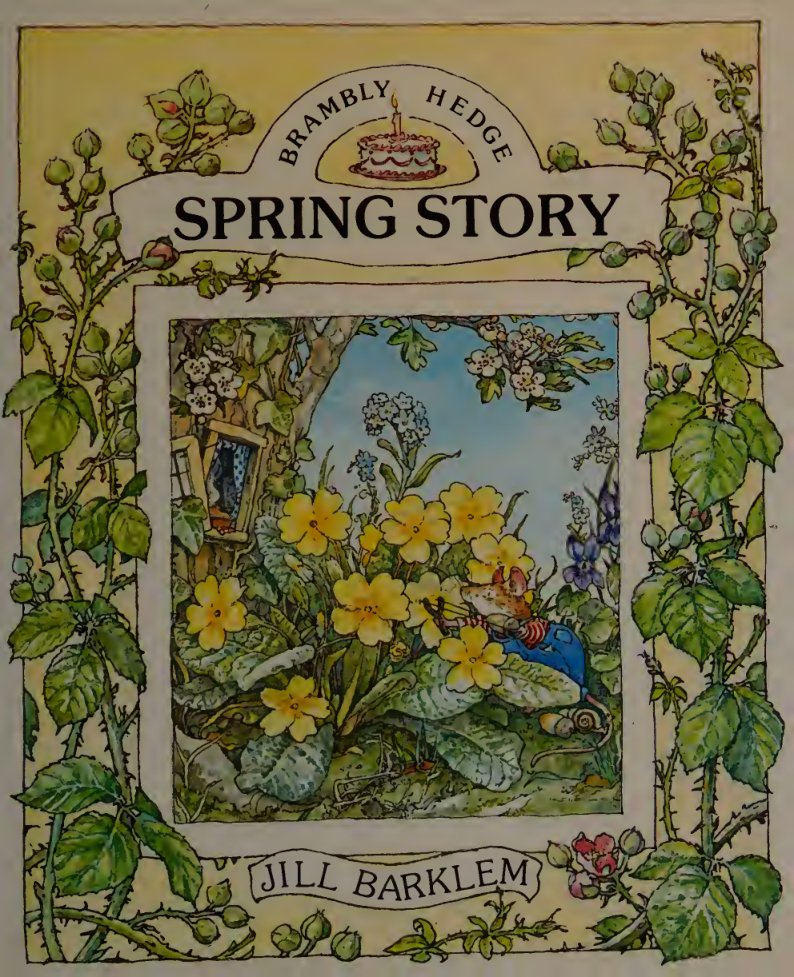 Cover of spring story