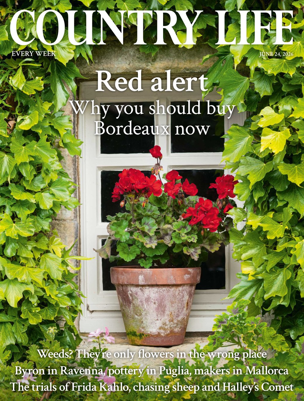 Cover of Red alert