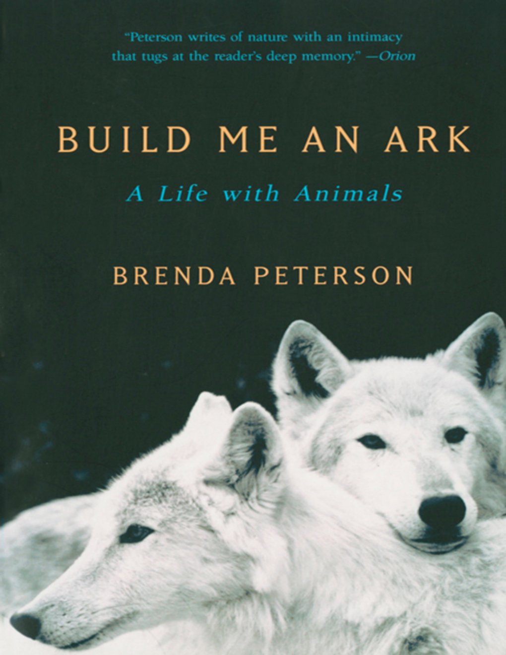 Cover of Build Me an Ark (1950)