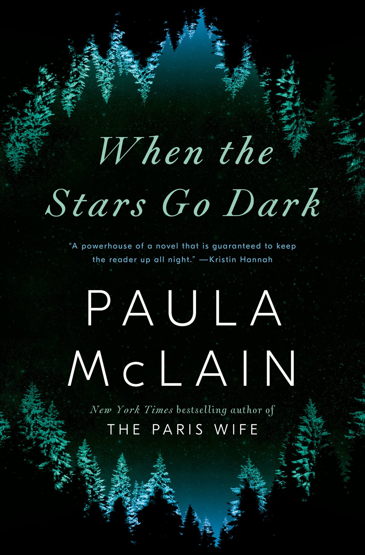 Cover of When the Stars Go Dark; A Novel (1981)
