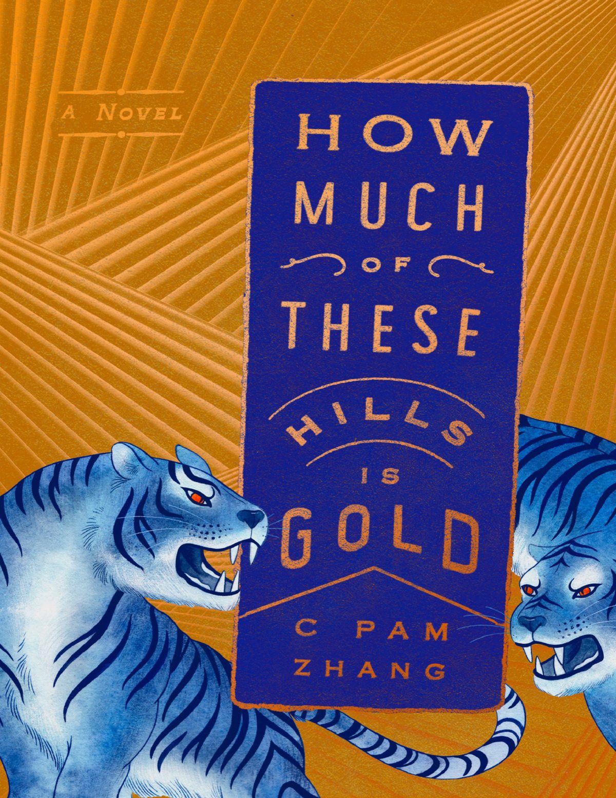 Cover of How Much of These Hills Is Gold- A Novel (2020)
