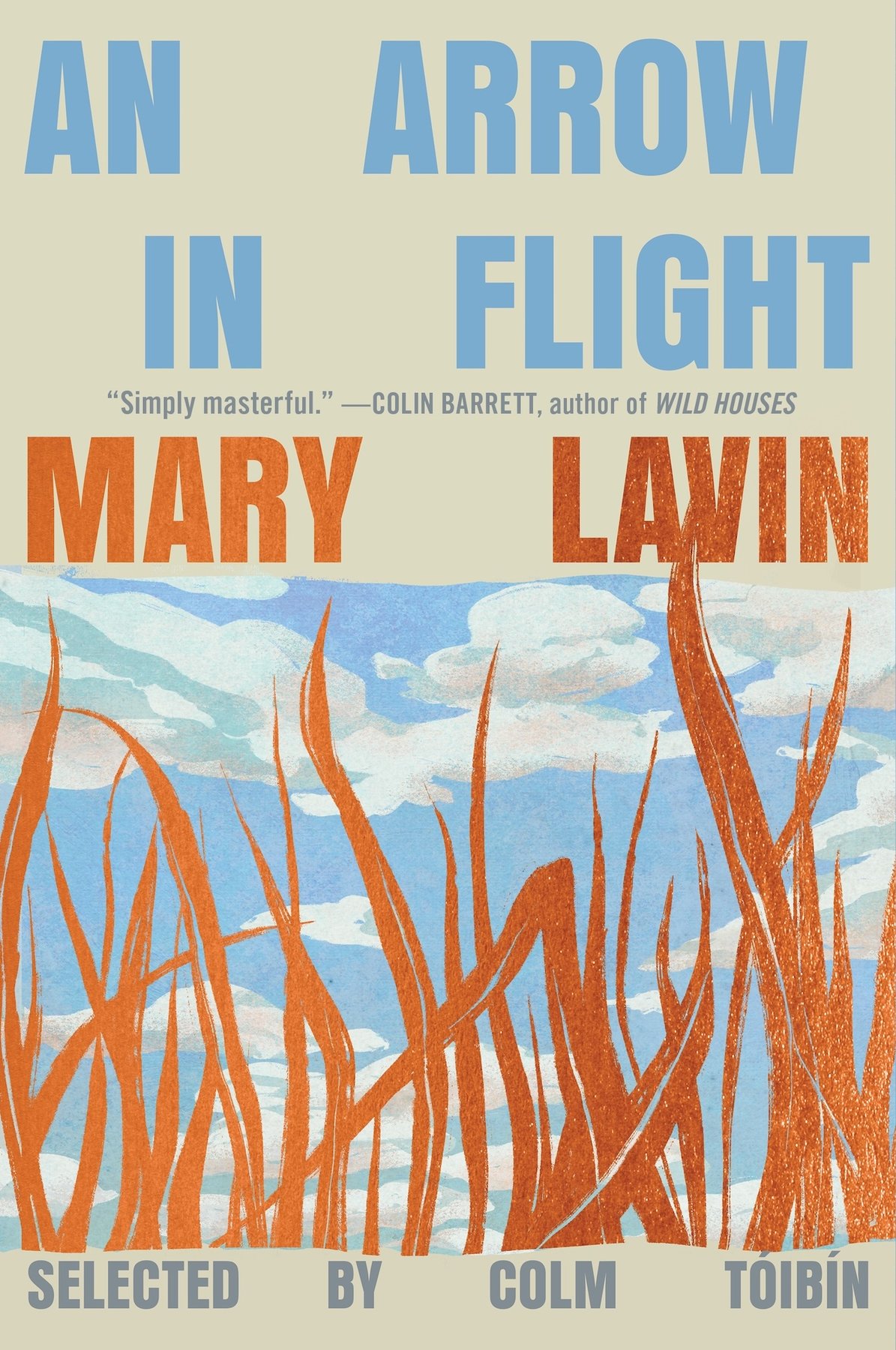 Cover of An Arrow in Flight