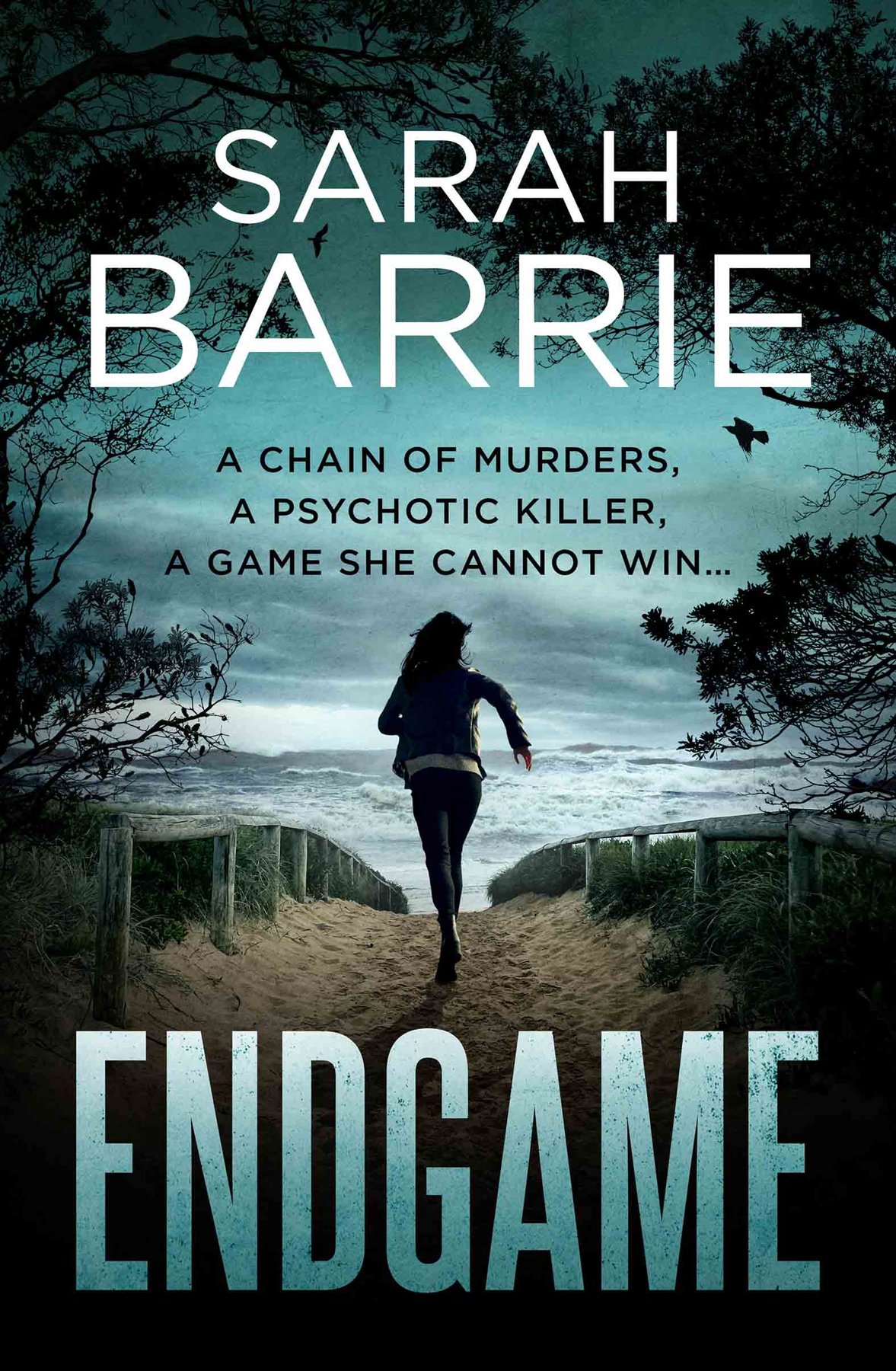 Cover of Endgame