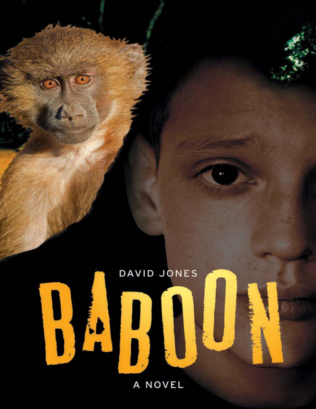 Cover of Baboon