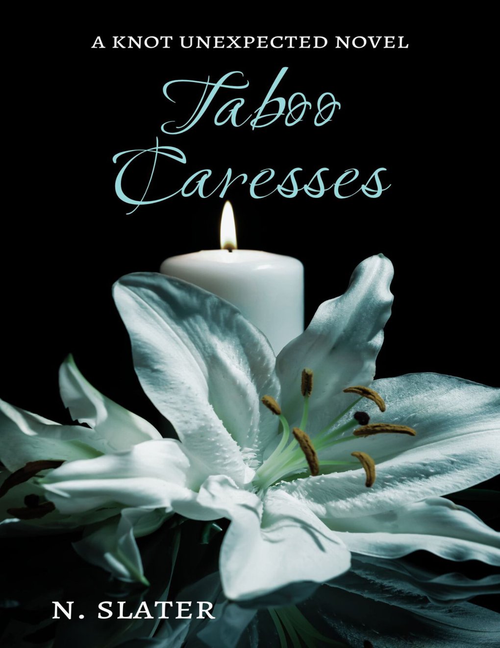 Cover of Taboo Caresses: A Dark MMM Mpreg Omegaverse