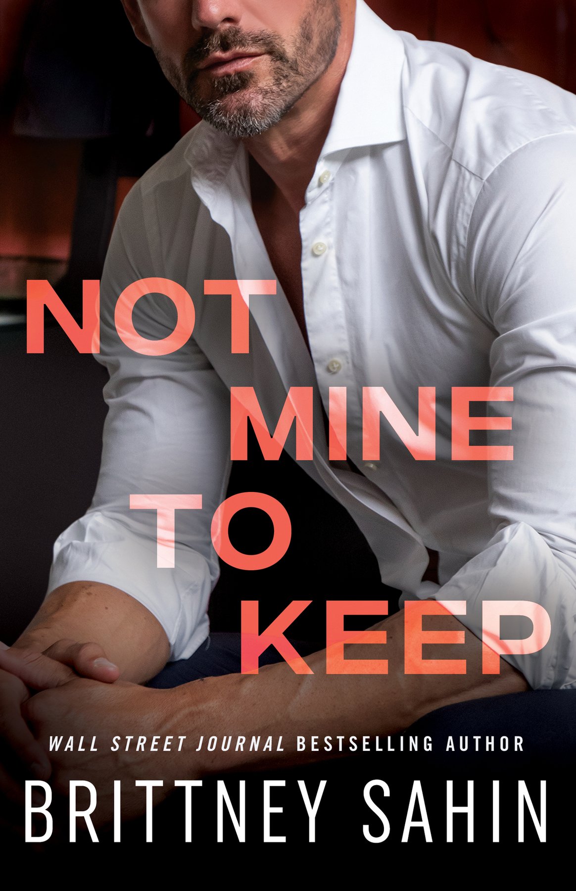Cover of Not Mine to Keep (2024)