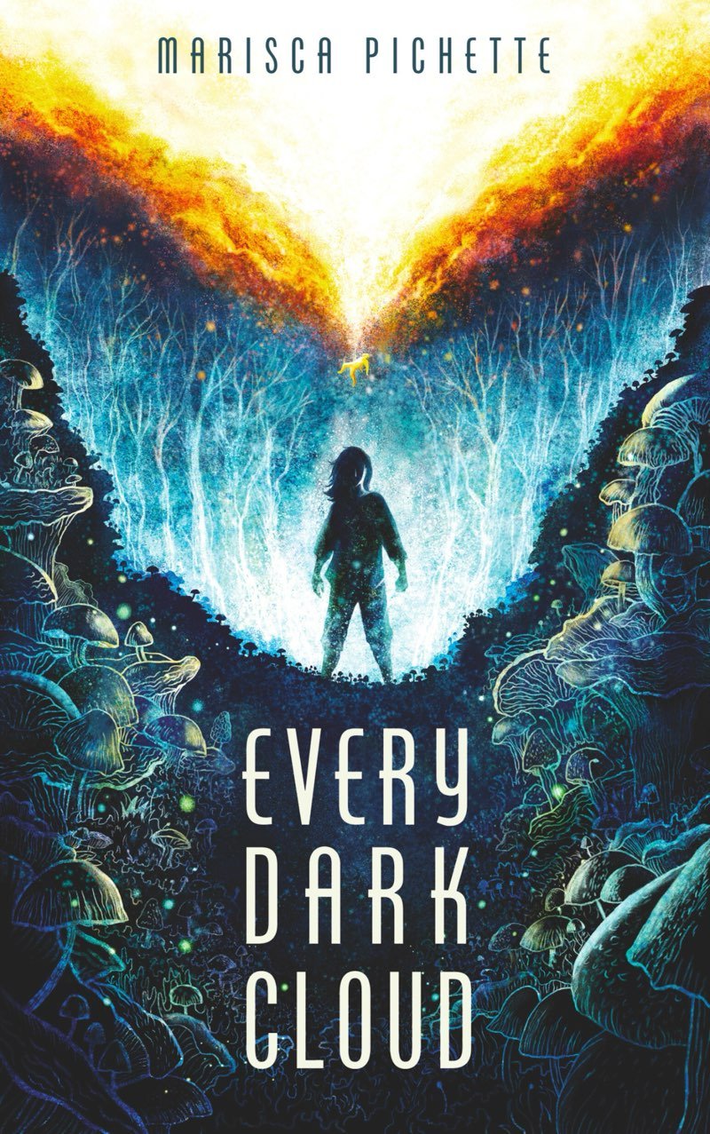 Cover of Every Dark Cloud