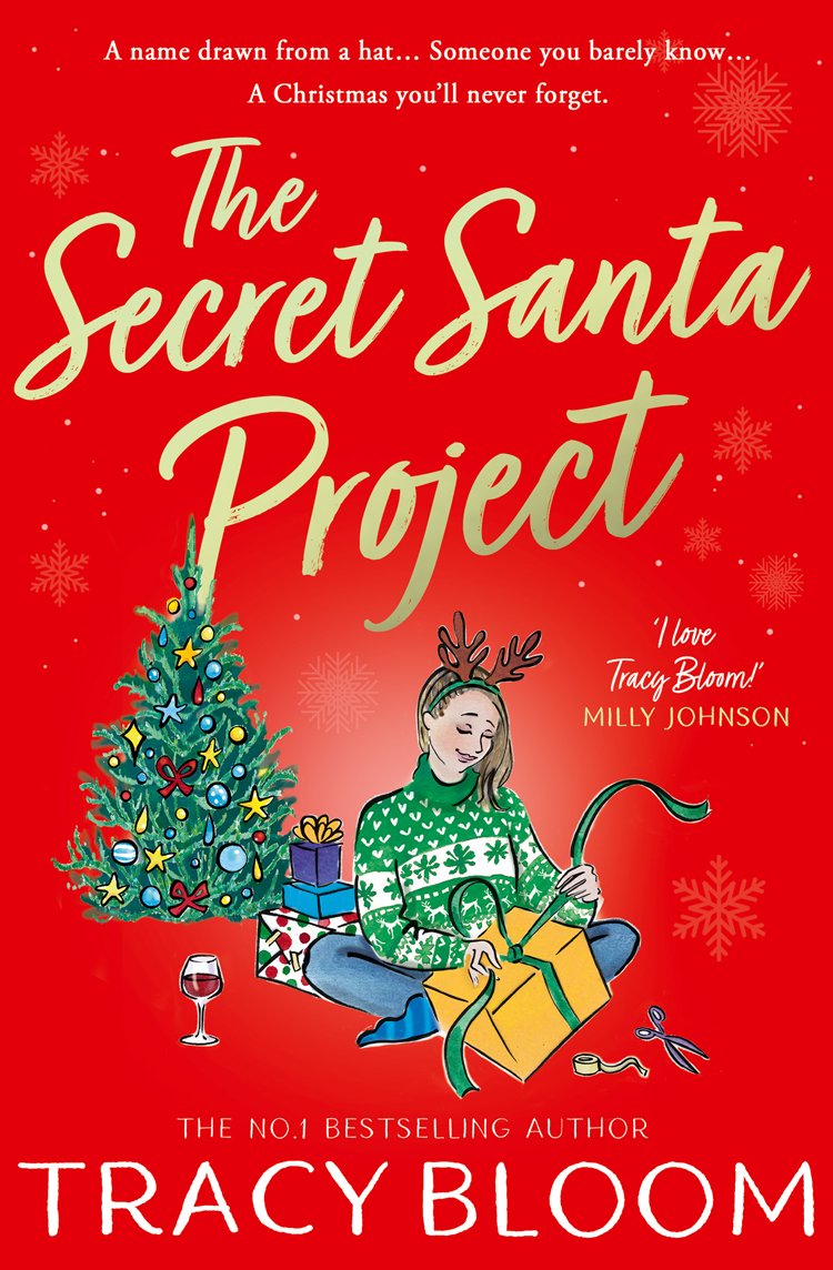 Cover of The Secret Santa Project