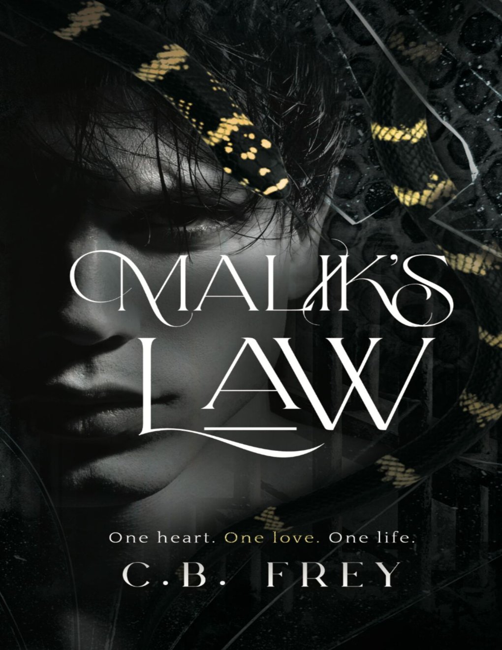 Cover of Malik's Law: A Dark Romance