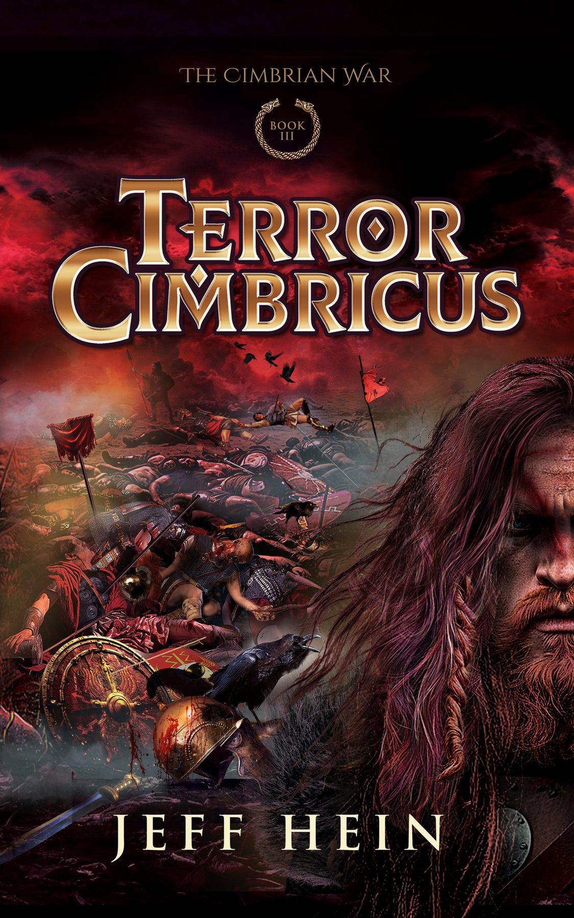 Cover of Terror Cimbricus
