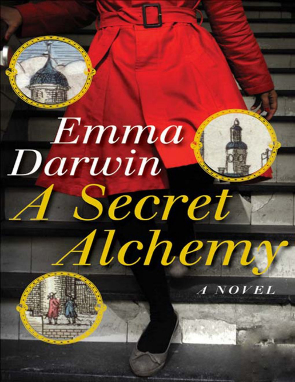 Cover of A Secret Alchemy