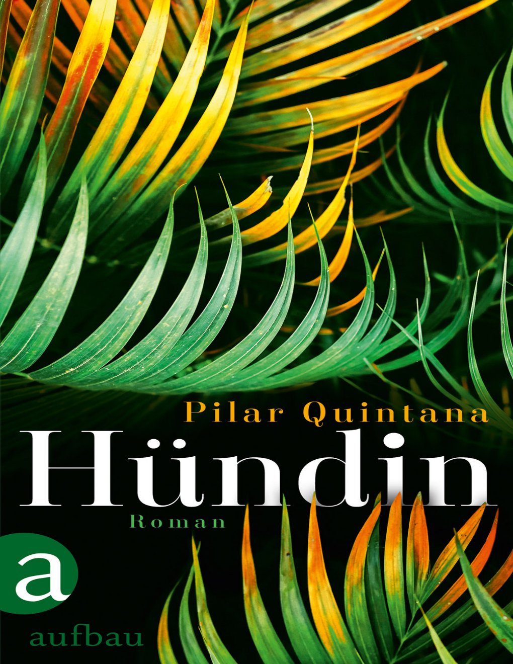 Cover of Hündin