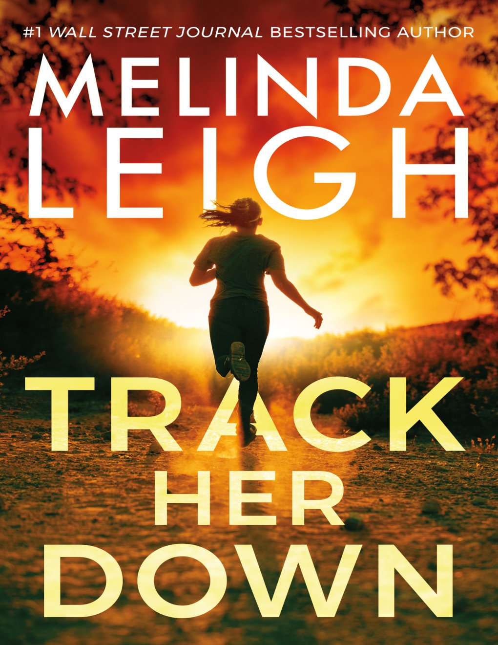 Cover of Track Her Down (Bree Taggert)