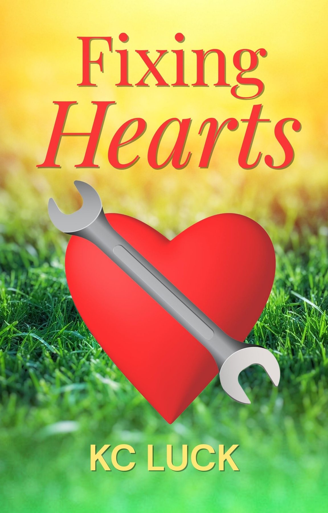 Cover of Fixing Hearts