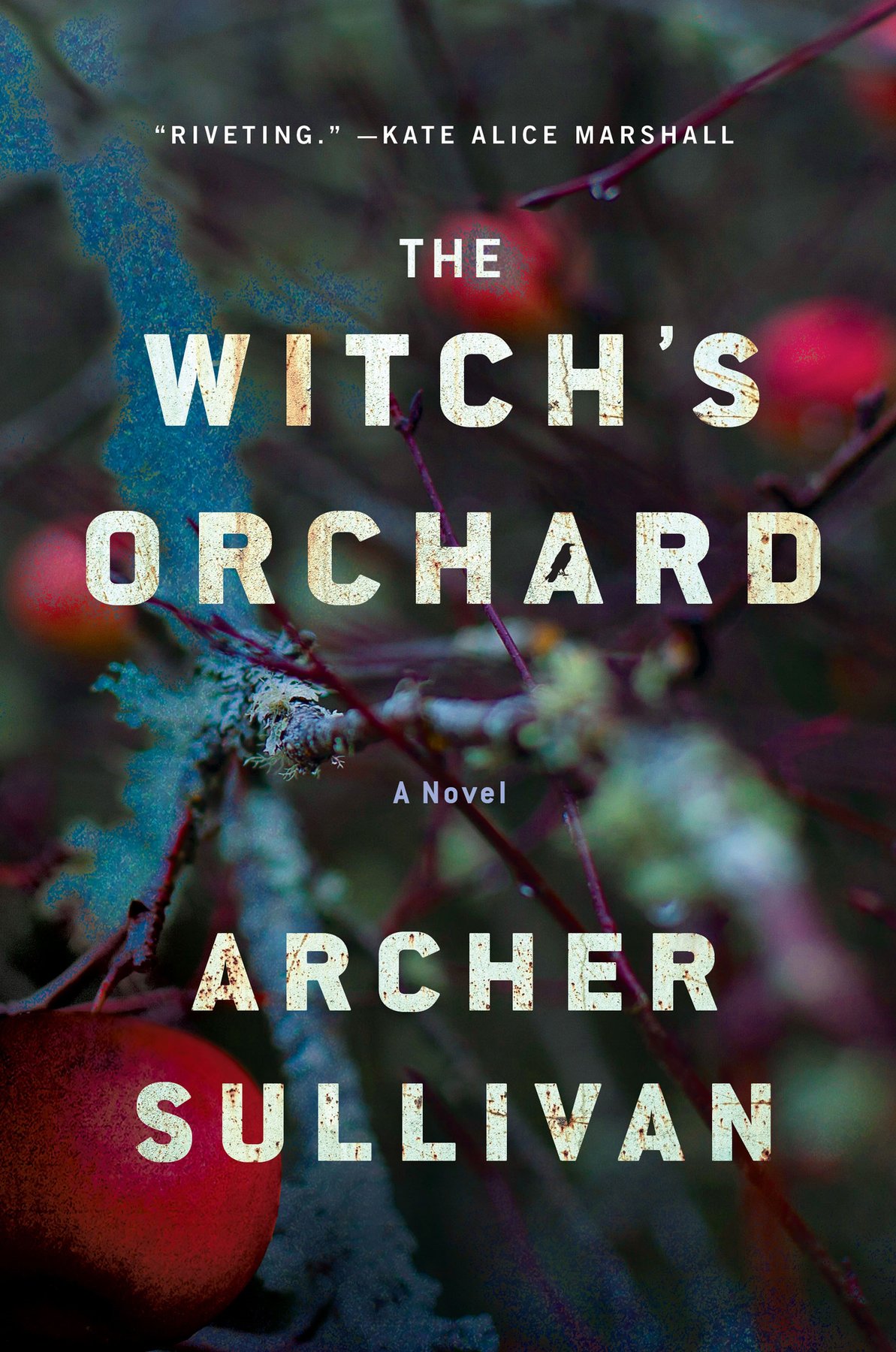 Cover of The Witch's Orchard