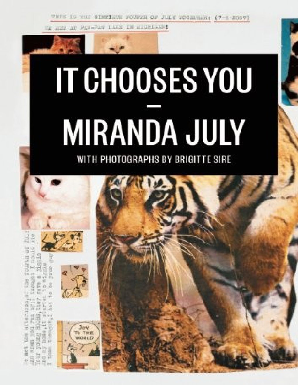 Cover of It Chooses You