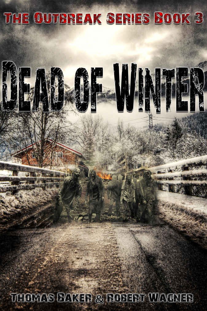 Cover of Dead of Winter