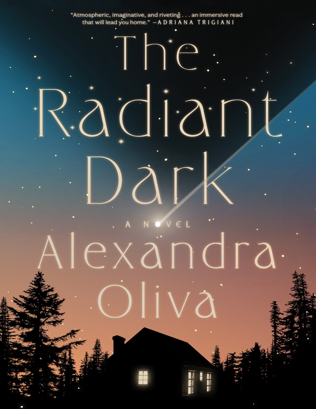Cover of The Radiant Dark