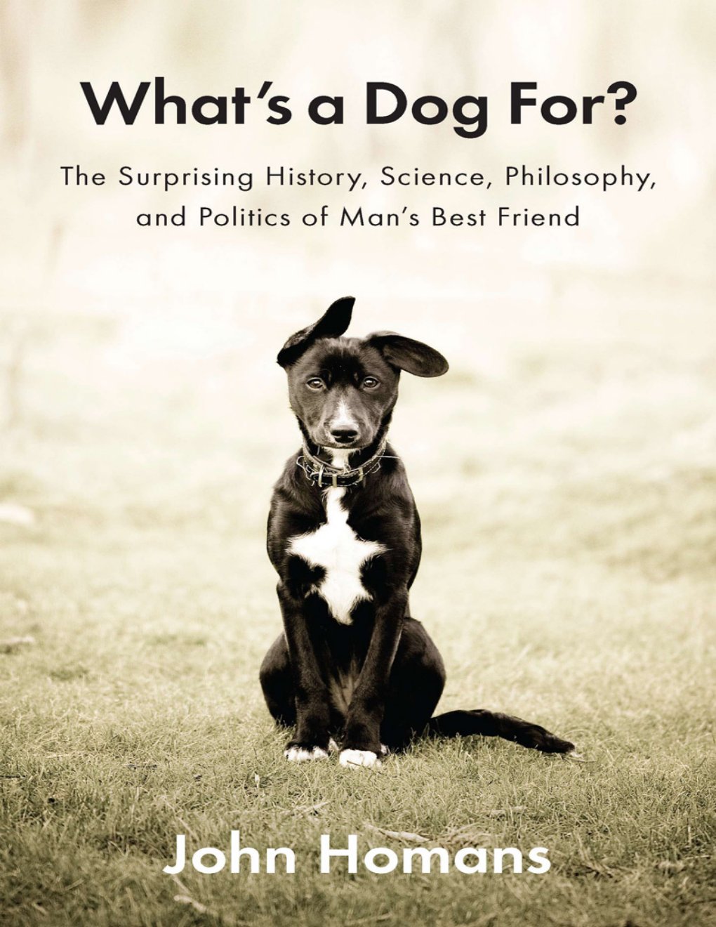 Cover of What's a Dog For?