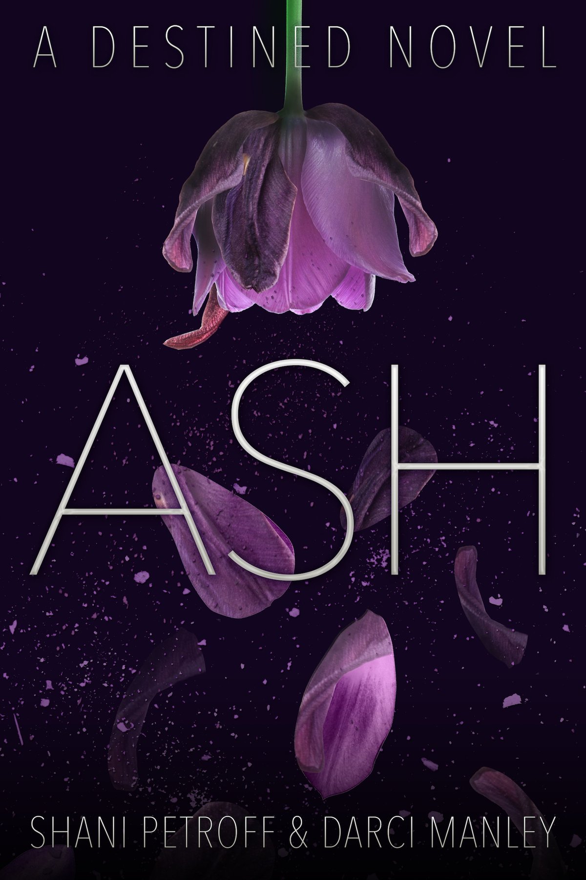 Cover of Ash