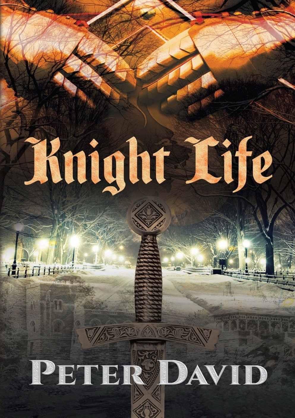 Cover of Knight Life