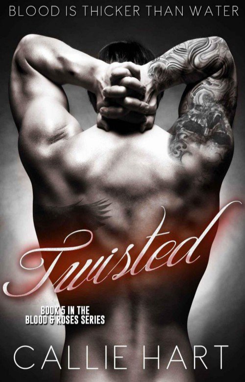 Cover of Twisted (2014)