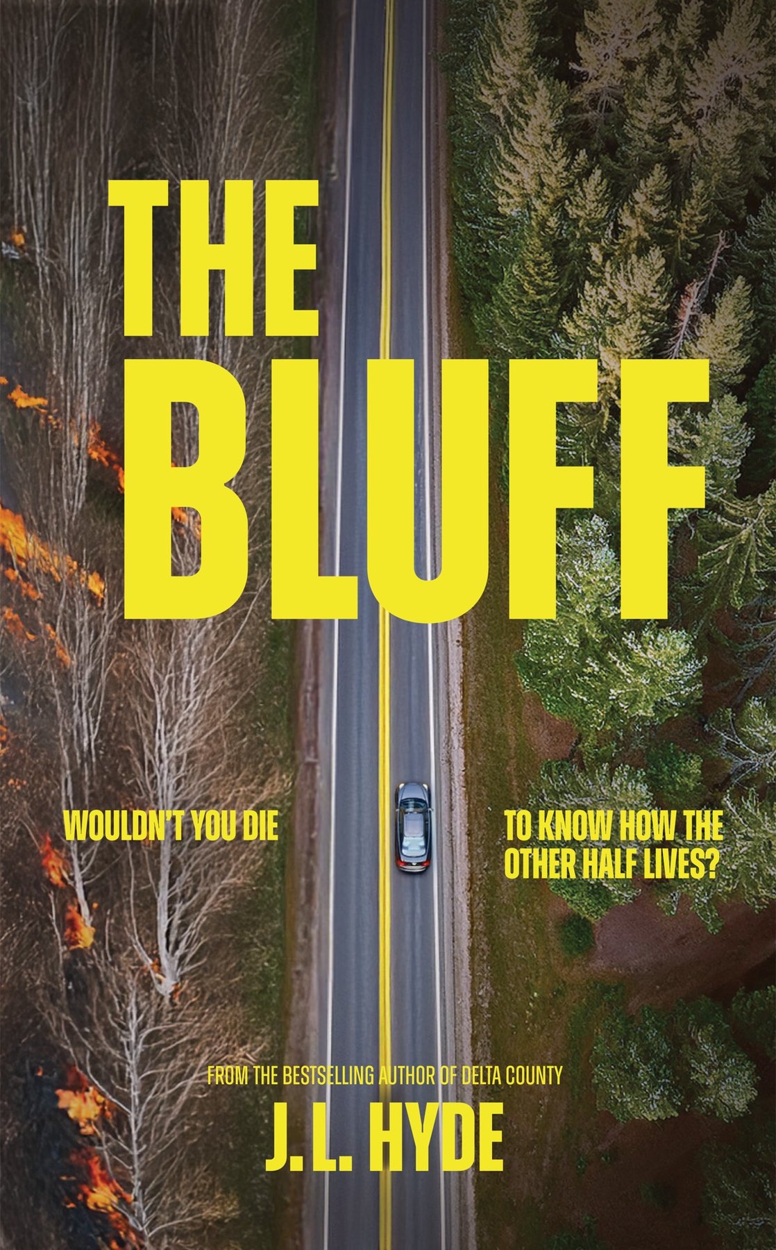 Cover of The Bluff