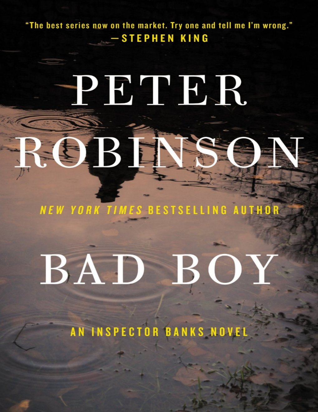 Cover of Bad Boy