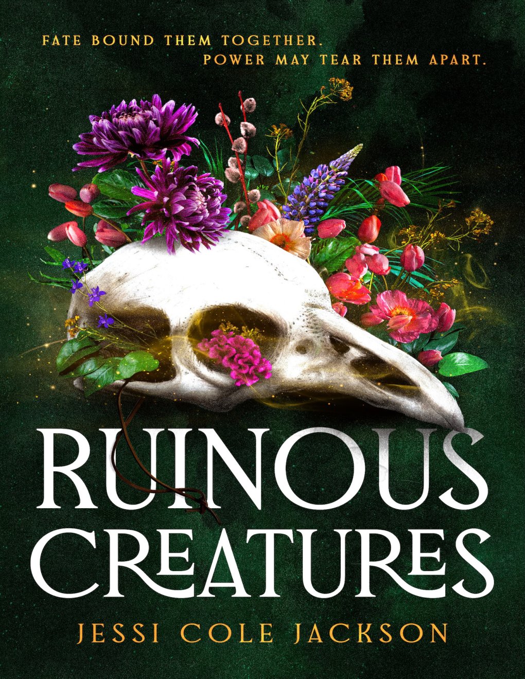 Cover of Ruinous Creatures: A Novel