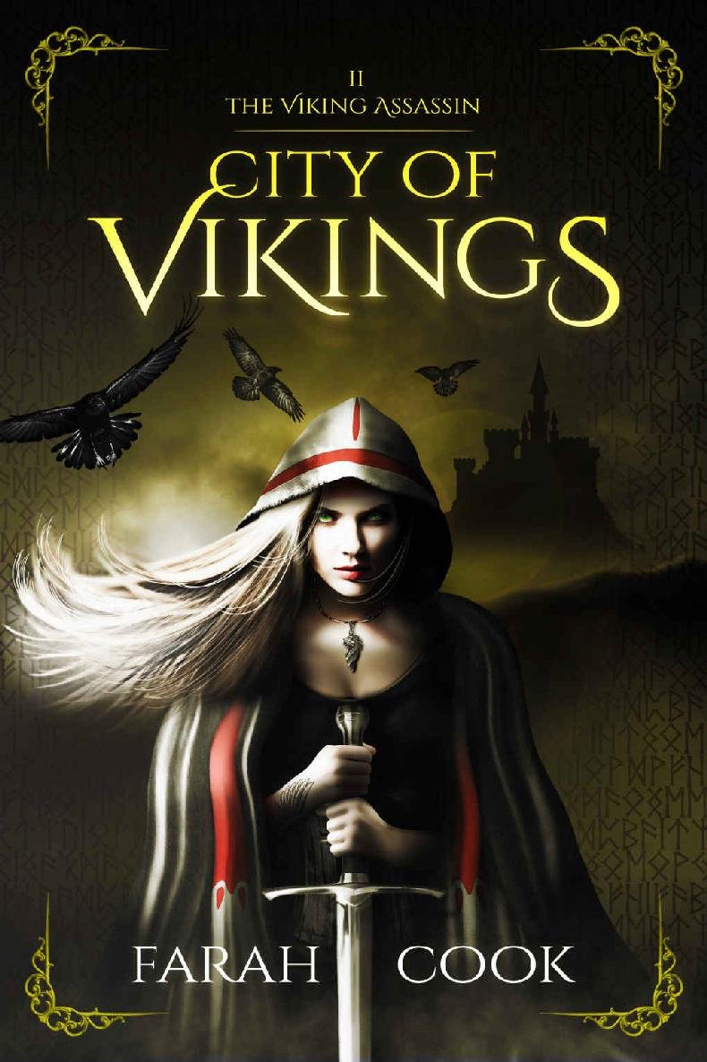 Cover of City of Vikings